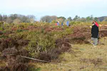 Overcoming the Challenge of Poor Ecological Census Data and Techniques in Habitat Suitability and Species Distribution Modeling