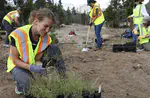 Volunteering in conservation work: a double-edged sword