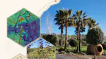 Municipal Invasive Flora Strategy · Colmenar