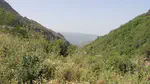 Ecosystem Services Assessment · LIFE LYNXCONNECT